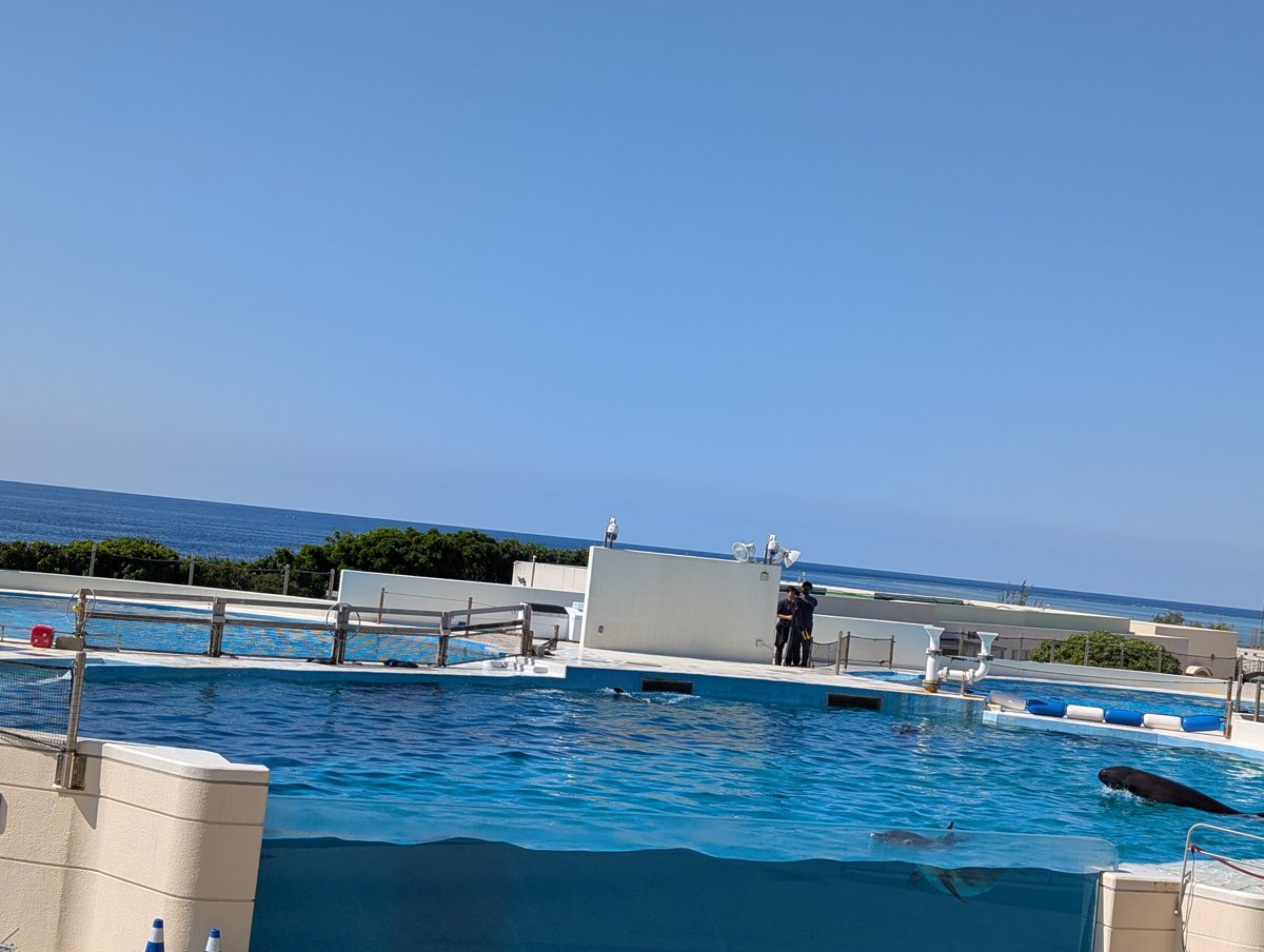 海をバックにしたオキちゃん劇場