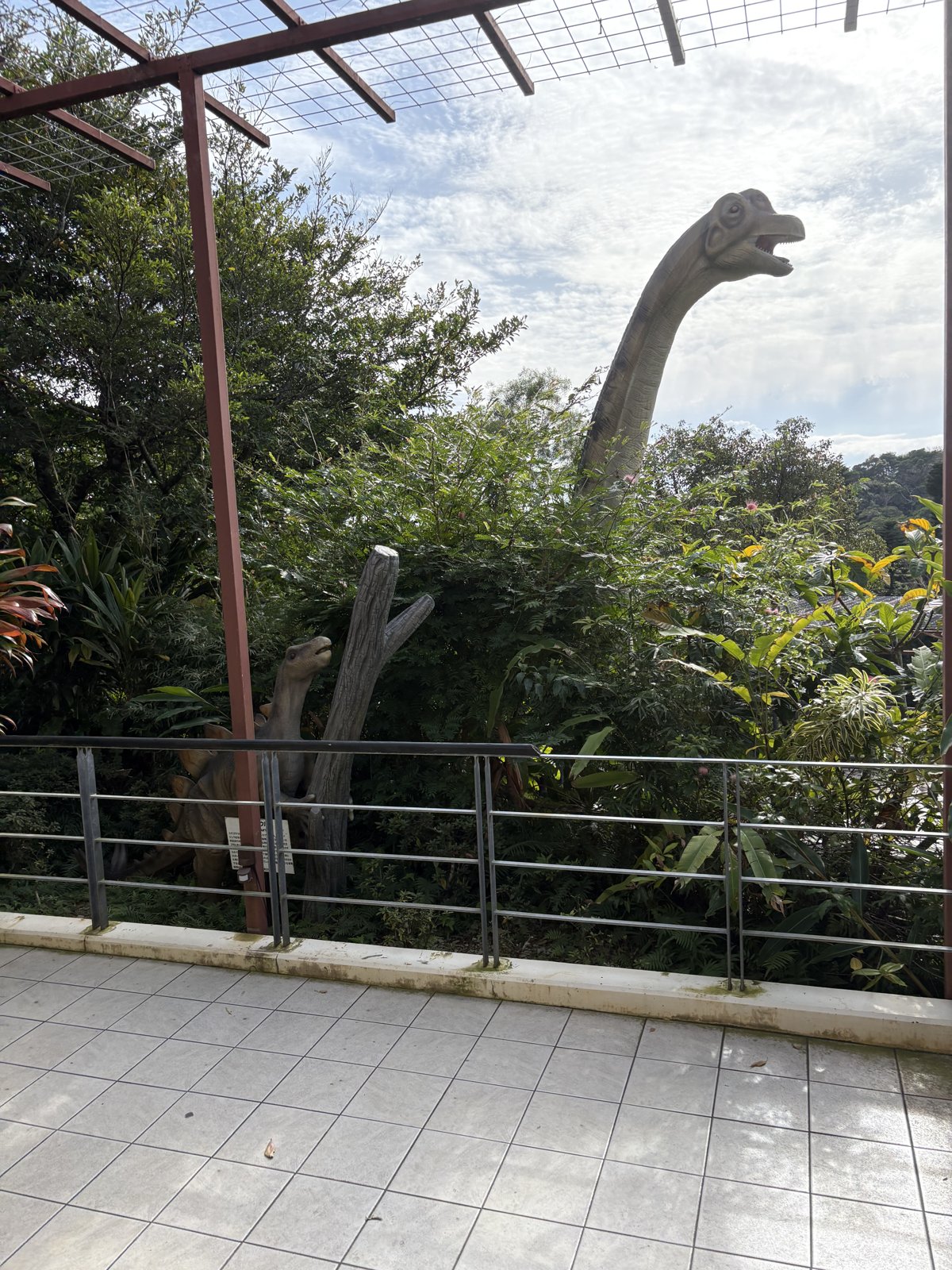 首の長い恐竜