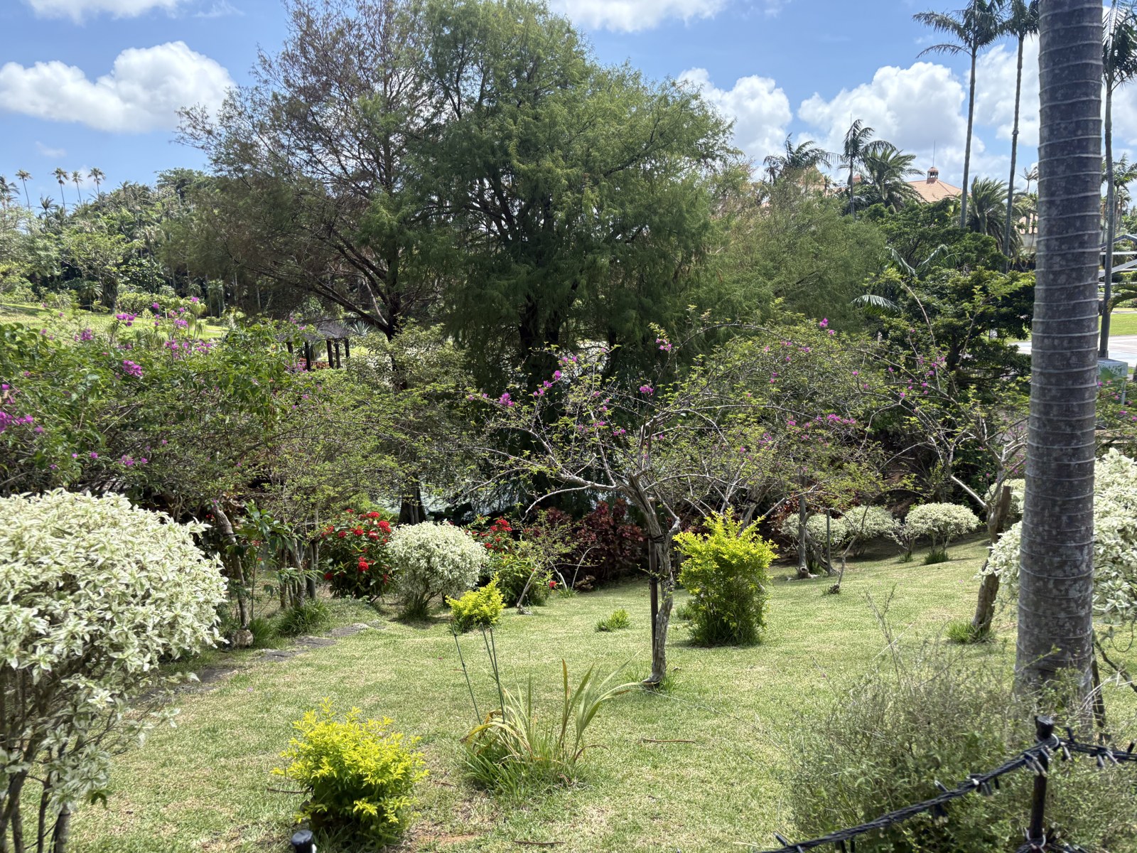 園内の植物