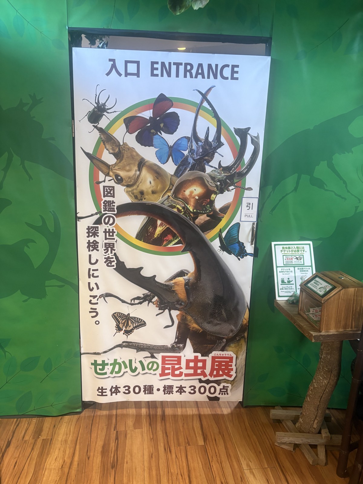 昆虫展の入口